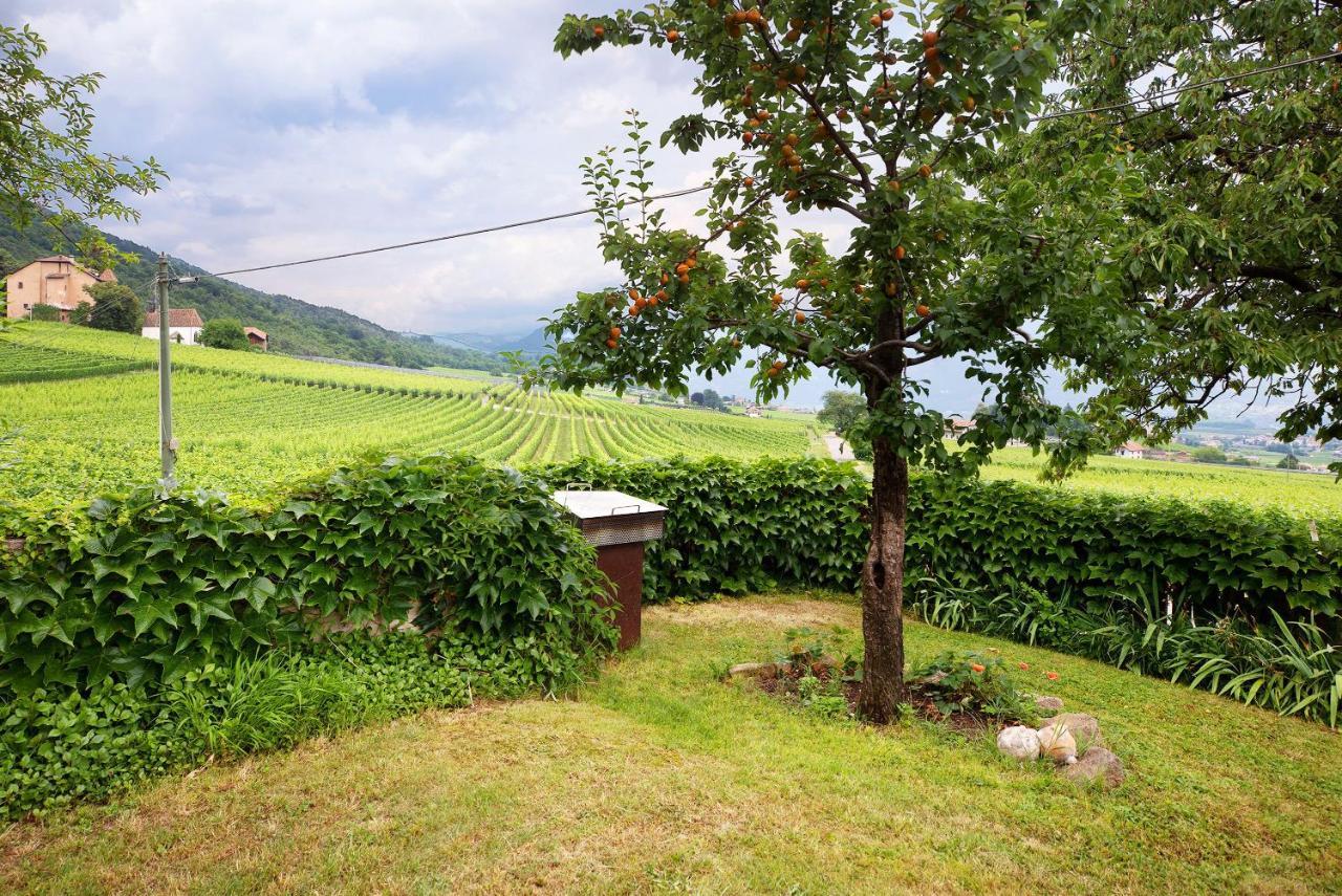 Harmony Apt 2 Appiano Sulla Strada Del Vino Exterior foto